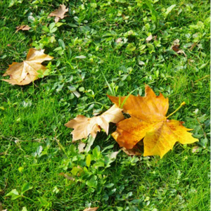 美女露胸视频罗体照免费看
